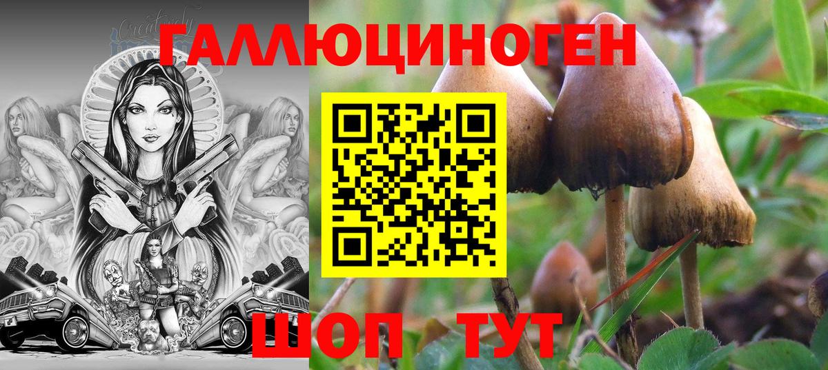 Псилоцибиновые грибы мицелий  Вход с VPN  Фролово 